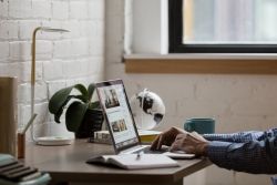 Business immigrations