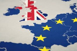 2020 11 16 Последствия «Brexit»  в Литве. Права граждан Соединенного Королевства и членов их семей