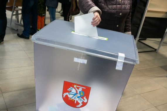 Референдум о двойном гражданстве в Литве должен состояться в 2024 году