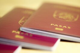 Dual Citizenship in Lithuania